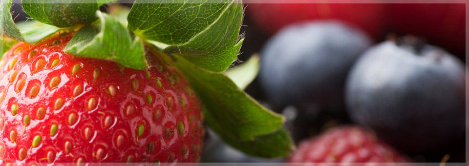 Ernährung - Der Mensch ist, was er isst