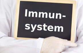 Immunsystem