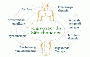 Mitochondriopathie